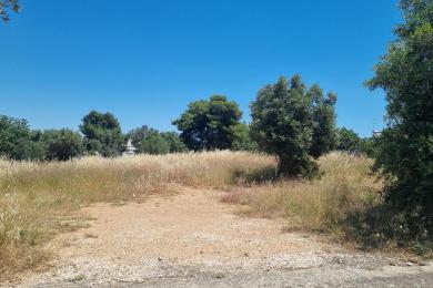 Plot Sale - Kropia, East Attica
